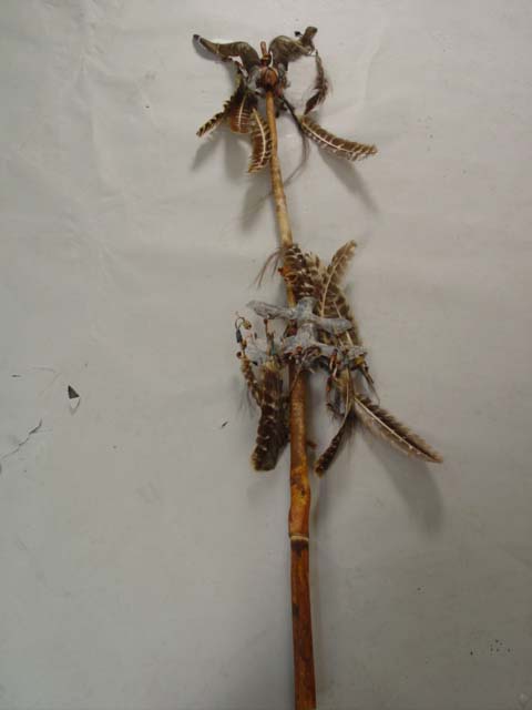 Am Indian dance stick