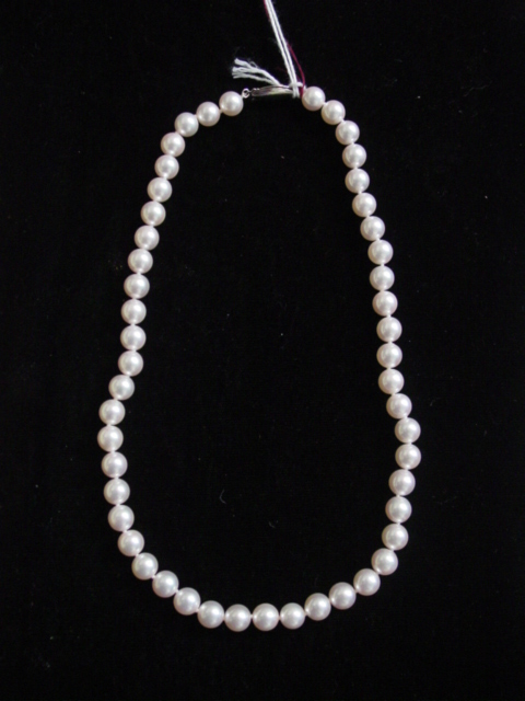 Akoya pearl necklace. 50 pearls - 17.5 long